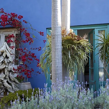 Bondi Beach House-2
